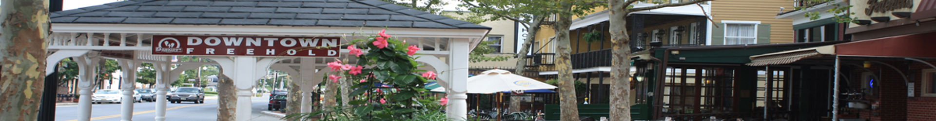 Freehold Banner